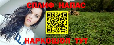 сатива Лесной