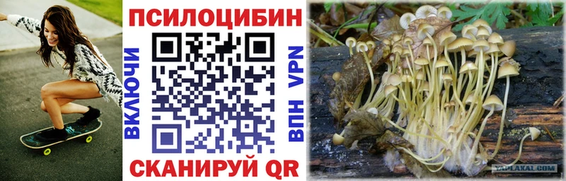 Псилоцибиновые грибы MAGIC MUSHROOMS  Холмск 
