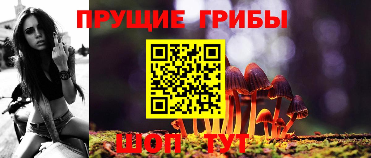 наркошоп  Вход с VPN  Галлюциногенные грибы MAGIC MUSHROOMS  Холмск  Галлюциногенные грибы GOLDEN TEACHER 